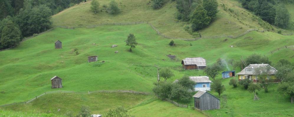 
            Фотография Быстреца