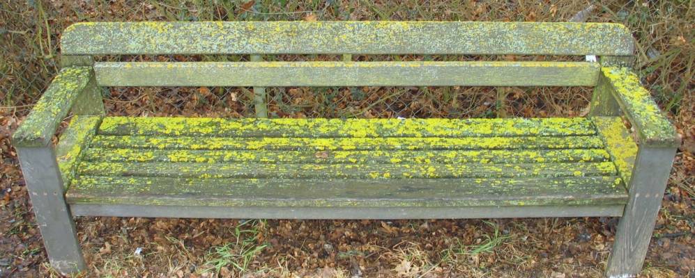 
            Фотография Мурра