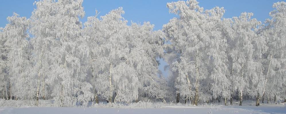 
            Фотография Памяти Ильича