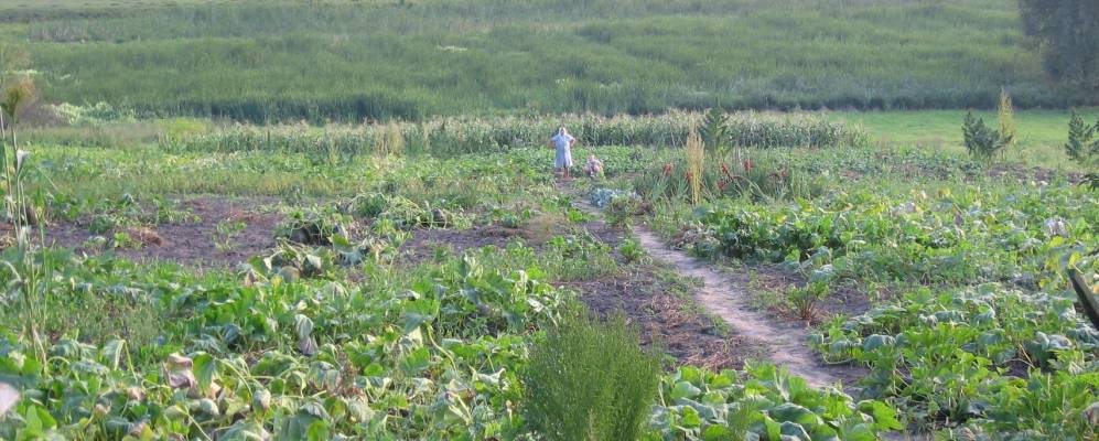 
            Фотография Огиевки