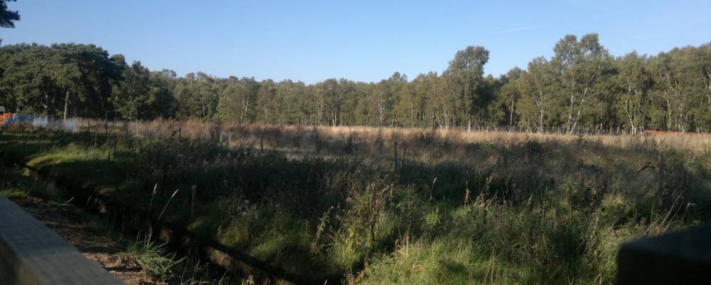 
            Фотография Дерсингема