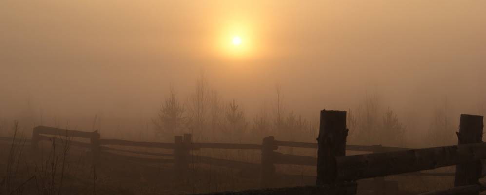 
            Фотография Истомино