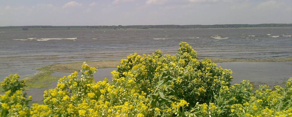 Фотография Барановки