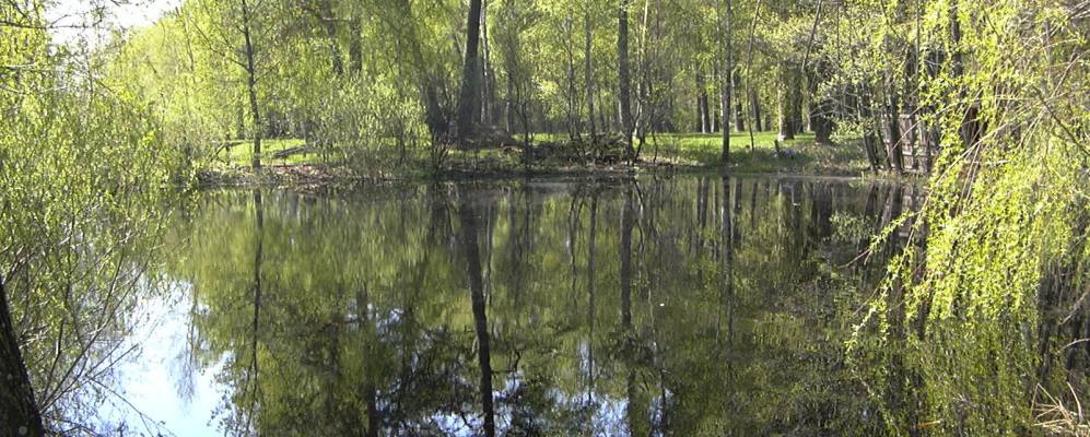 
            Фотография Бартухи