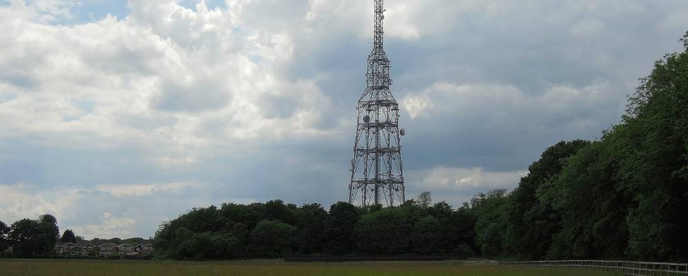 
            Фотография Келведон Хача