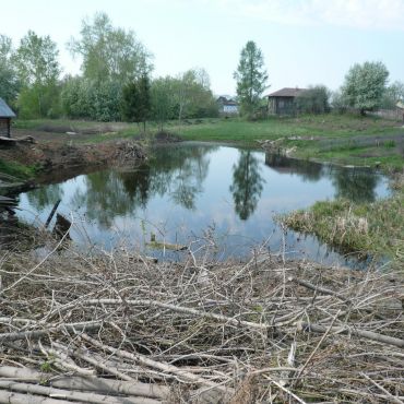 Усть-Кишерть