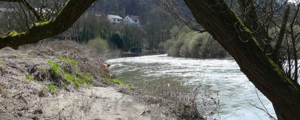 
            Фотография Фахбах