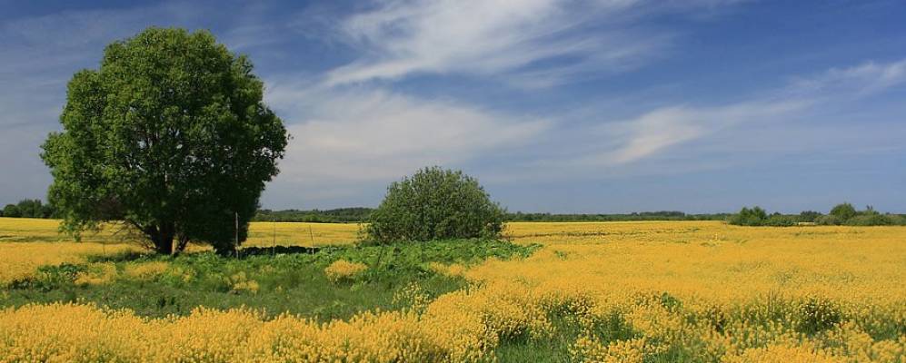 
            Фотография Красновки