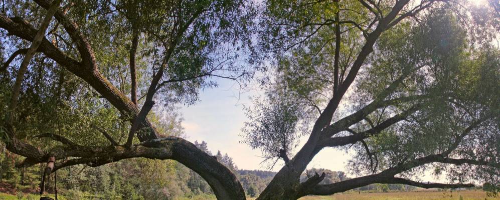 Фотография Слободки