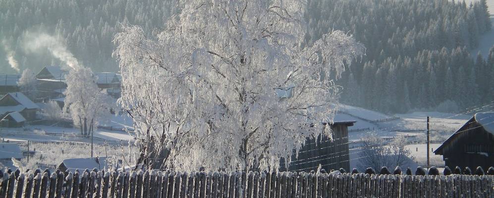 Фотография Седяша