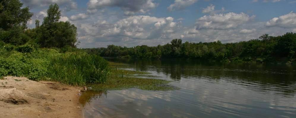 
            Фотография Черкасского