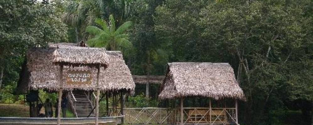 
            Фотография Paraíso