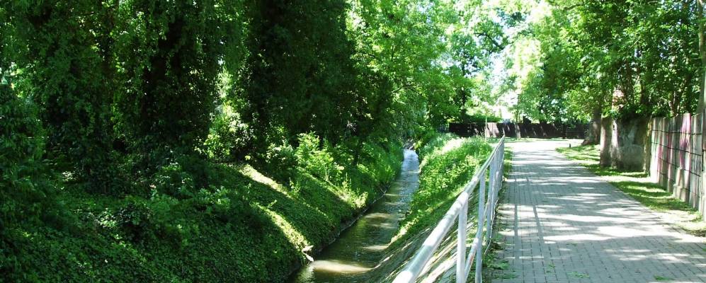 
            Фотография Деревня Диса