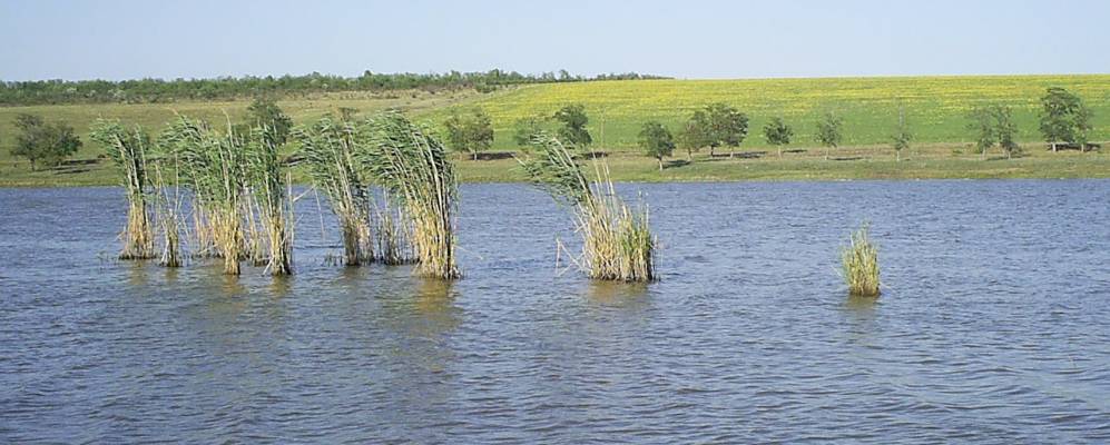 
            Фотография Владимировки