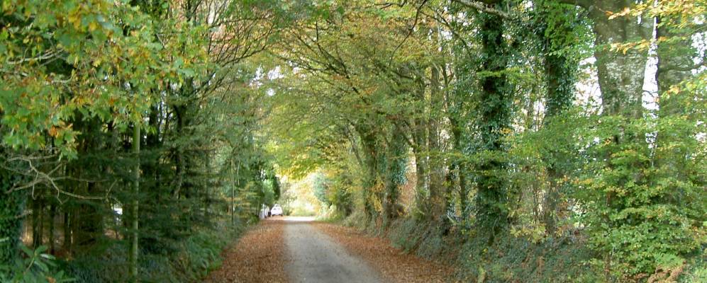 Фотография Скаэра