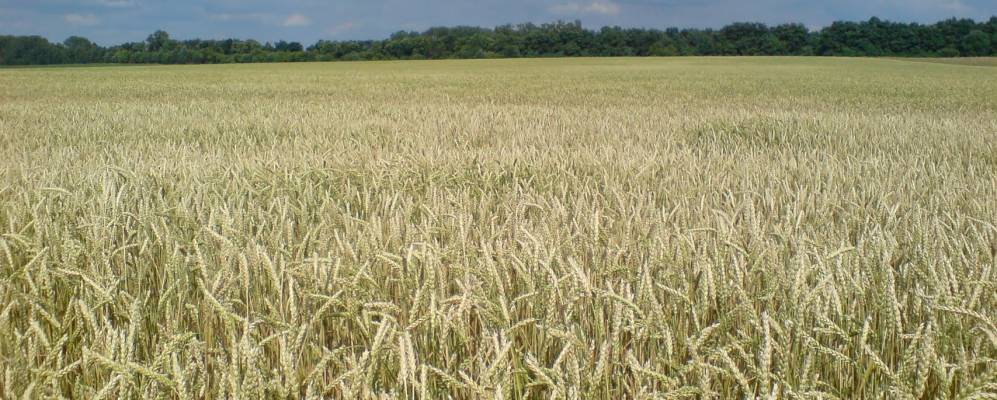 
            Фотография Сейловичей