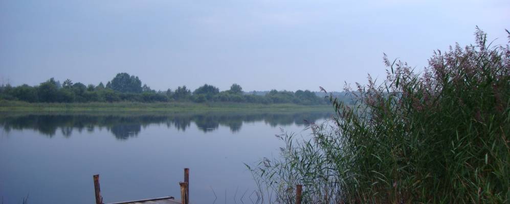 
            Фотография Перевоза