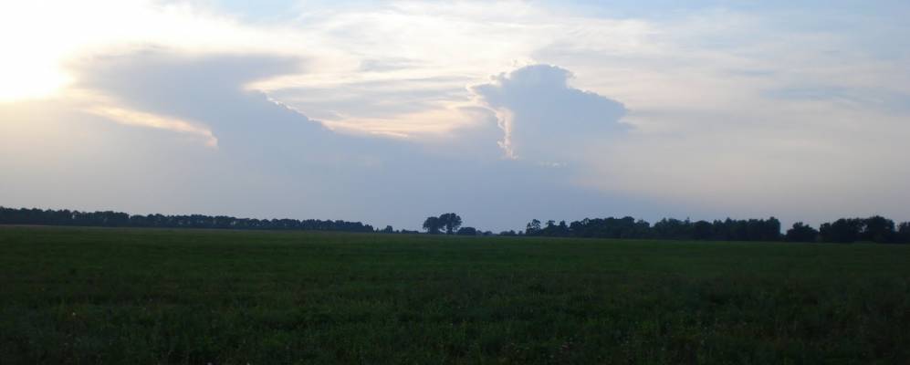 
            Фотография Степи