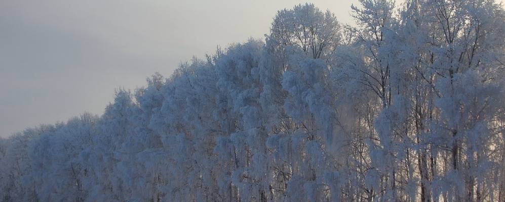 
            Фотография Калинников