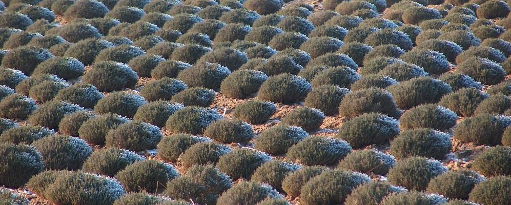 
            Фотография Вернуйе