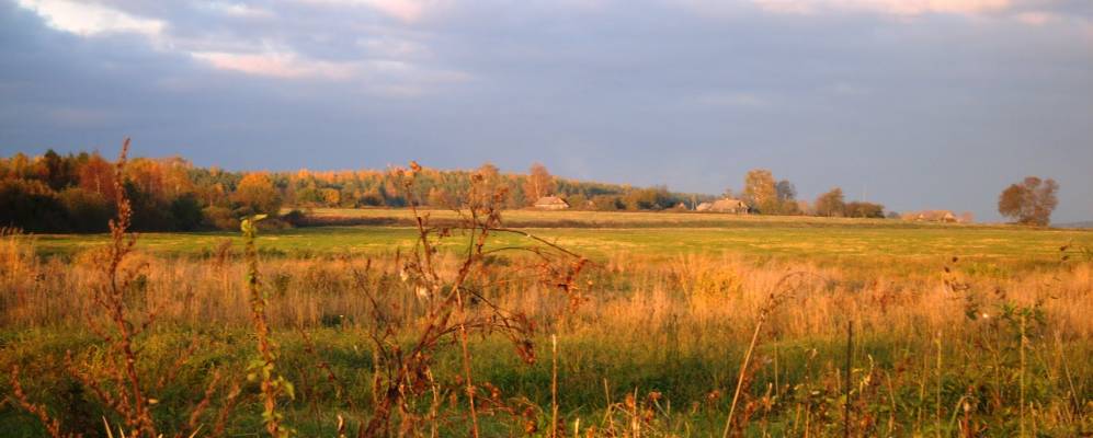 
            Фотография Замосточья