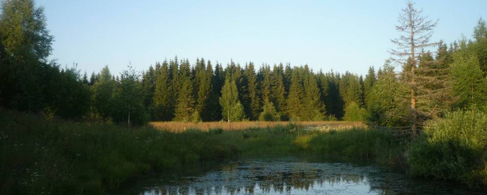 
            Фотография Никольского