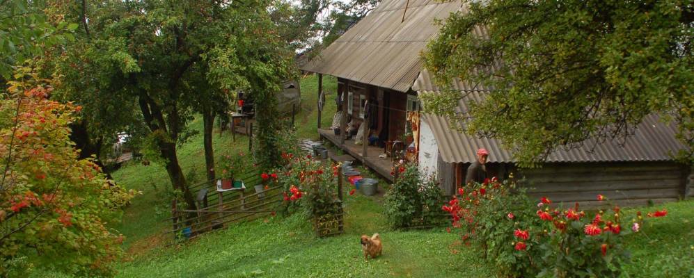 
            Фотография Снидавки