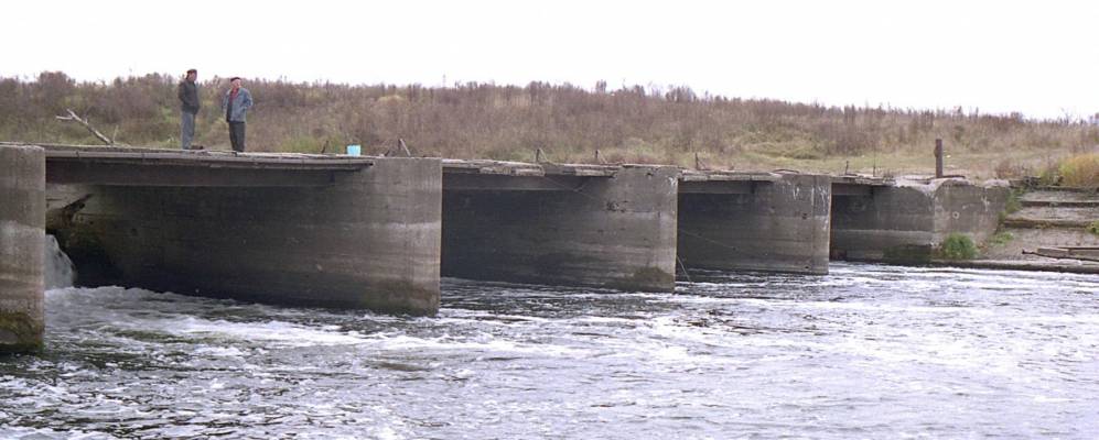 
            Фотография Ломовца