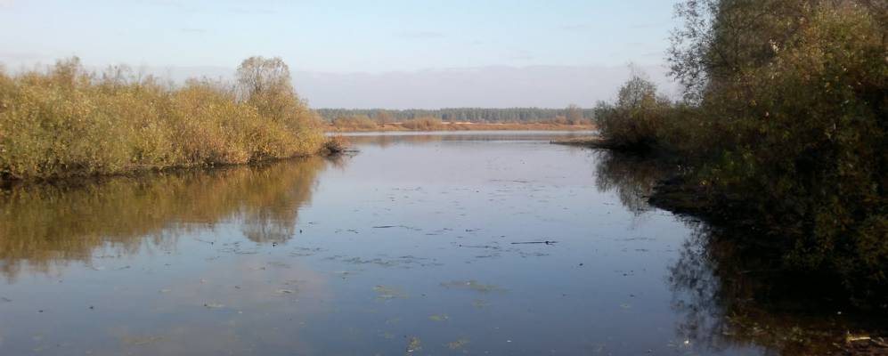 
            Фотография Глушца