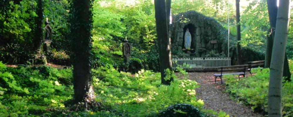 
            Фотография Хофбибера