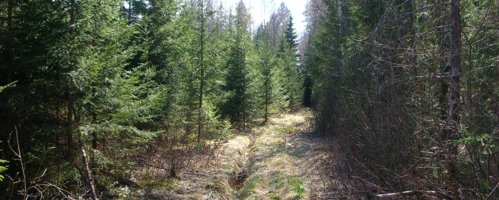 Фотография Селевино