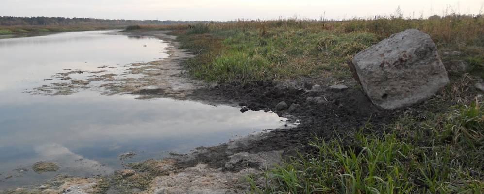 
            Фотография Клочков