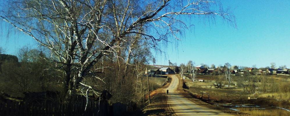 
            Фотография Волково