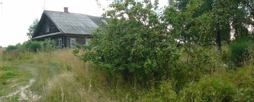 Фотография Ателевицы