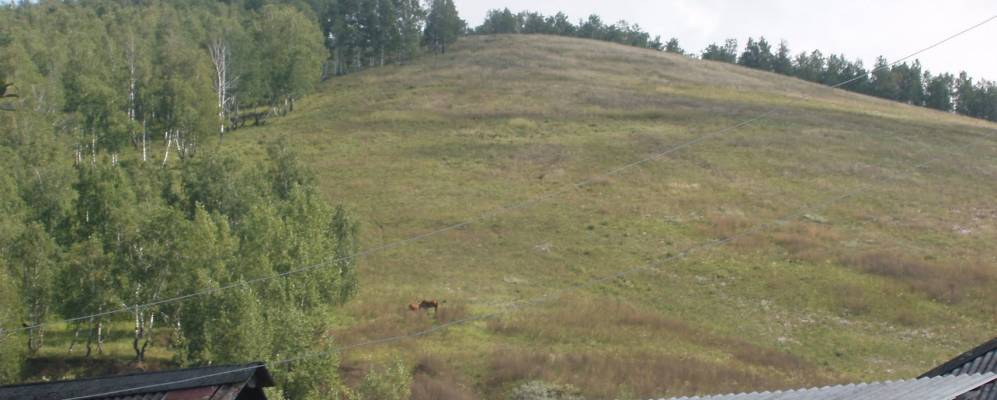 
            Фотография Бугуртак