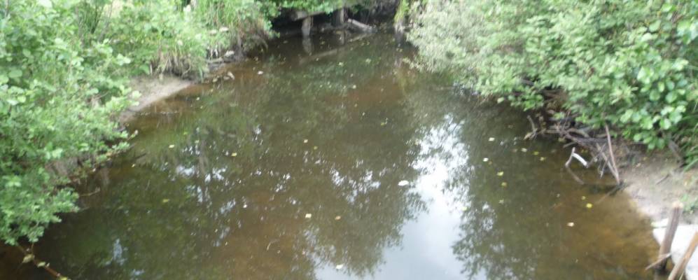 
            Фотография Иваньково