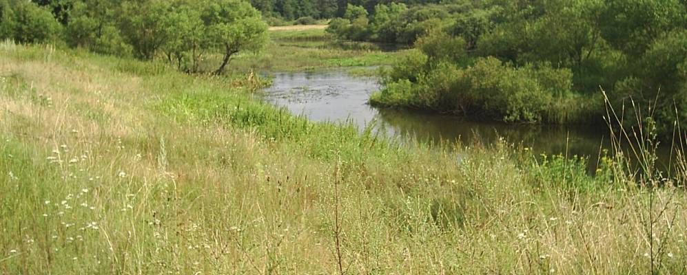 
            Фотография Ивановичей