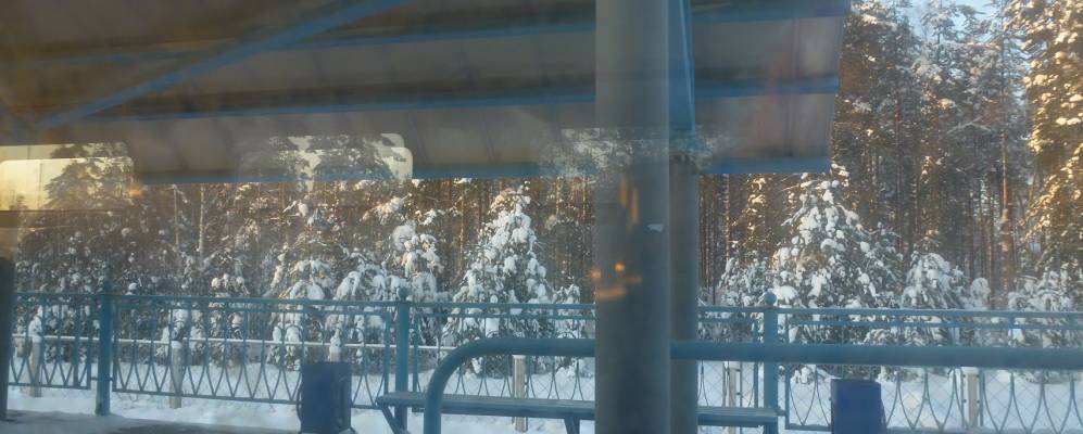 
            Фотография Заходского