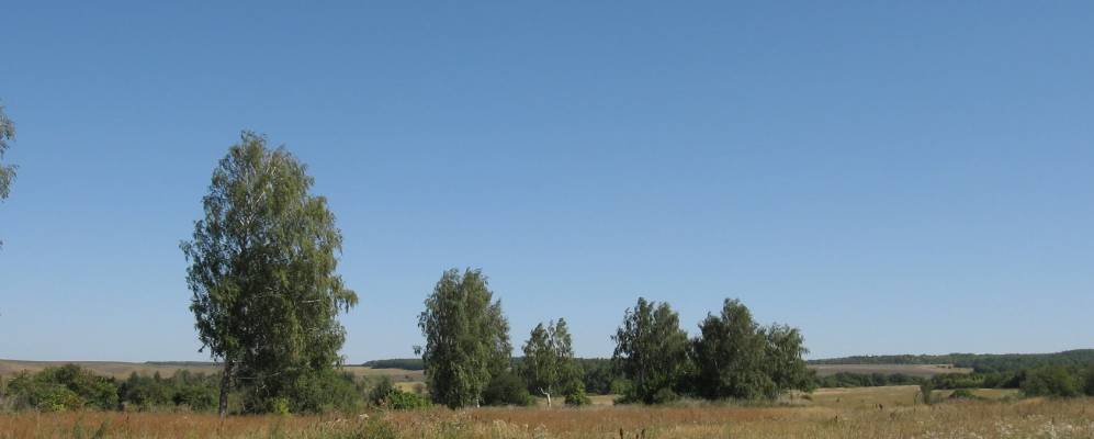 Фотография Ждановки