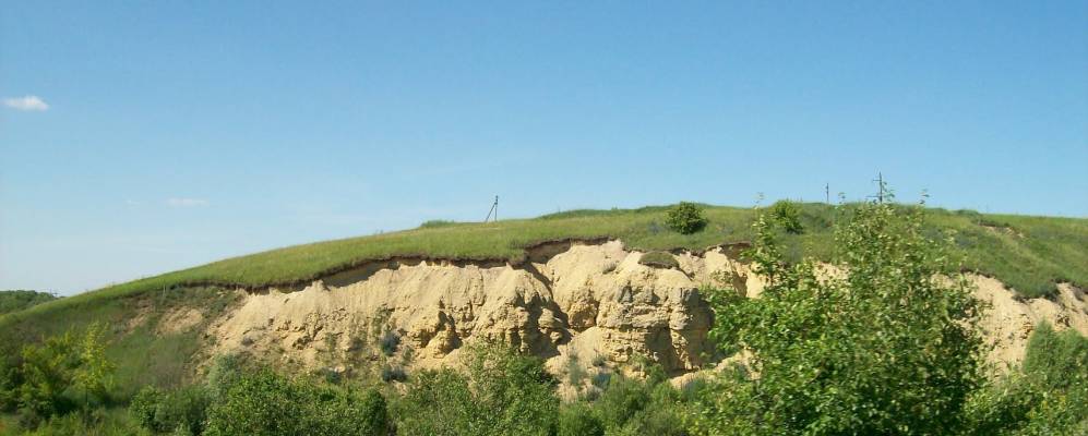 
            Фотография Черемисино