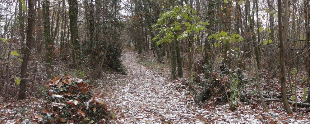 
            Фотография Монтьё