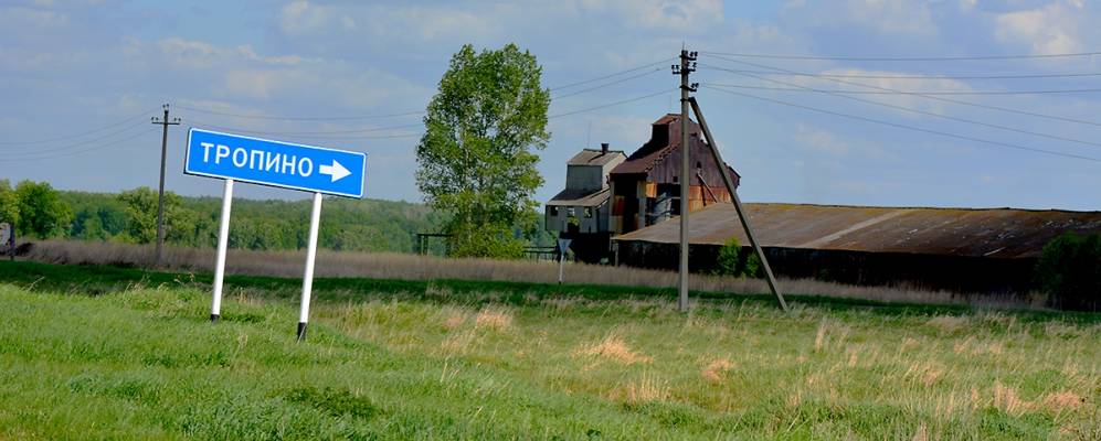 
            Фотография Тропино