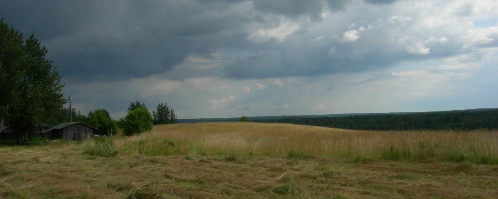 
            Фотография Березовика