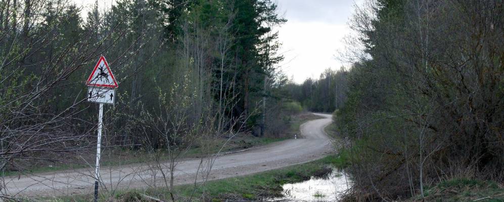 
            Фотография Чирково