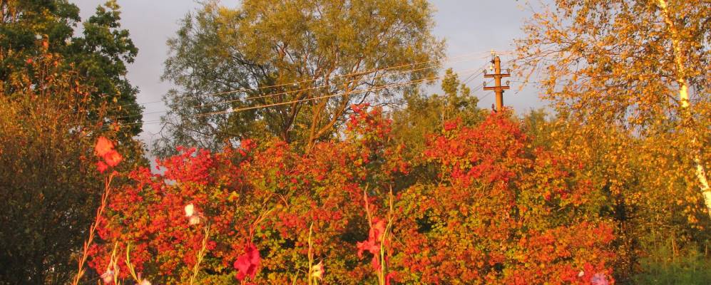 Фотография Любянцов