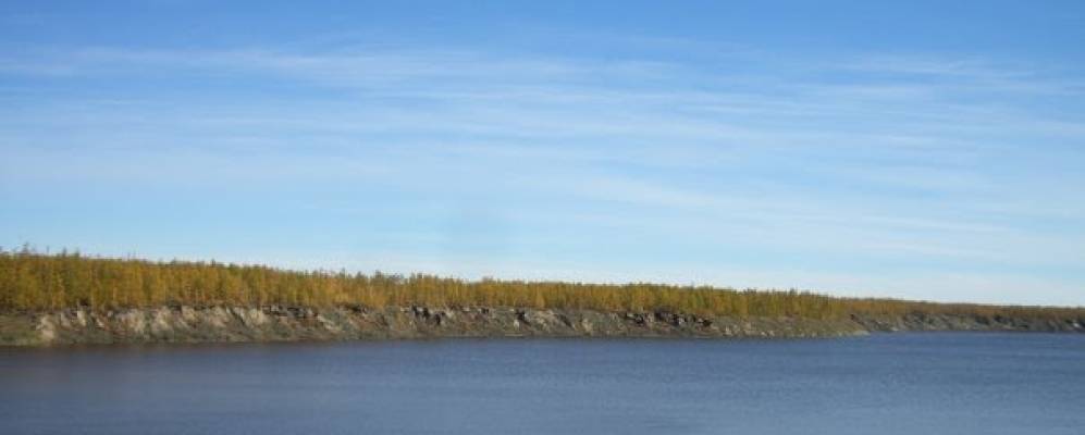 
            Фотография Сырдаха