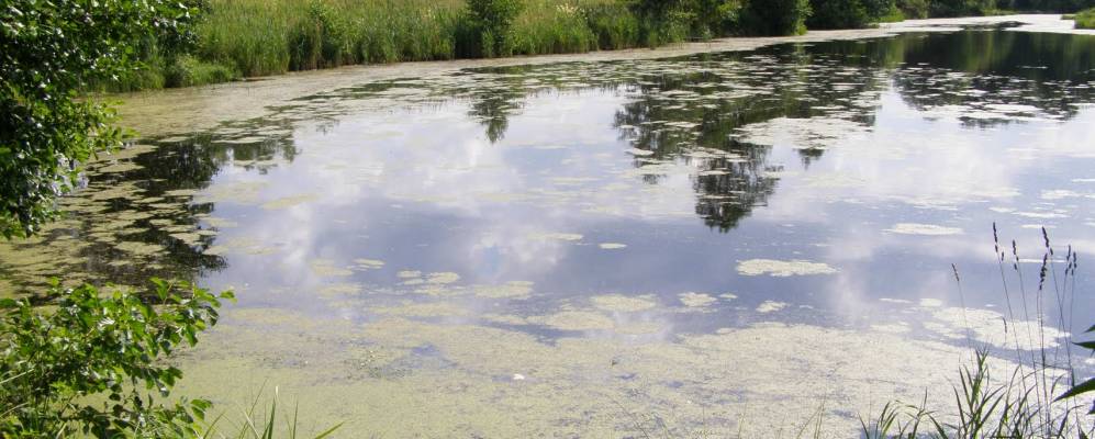 
            Фотография Дарищи