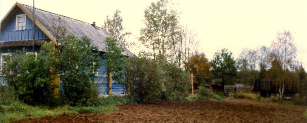 
            Фотография Березки