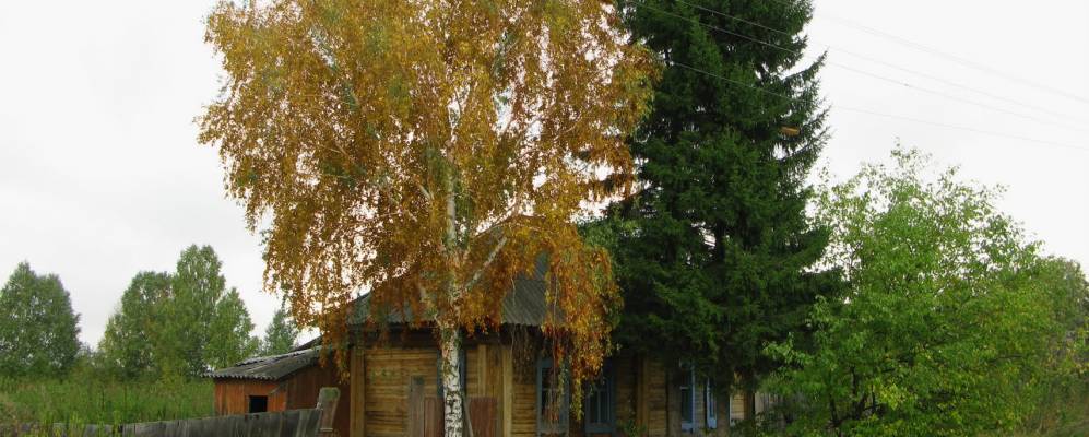 
            Фотография Плотбища