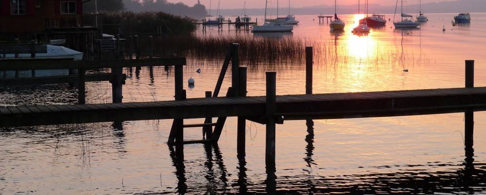 
            Фотография Мунтелиера